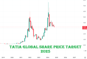 Tatia Global Share Price Target 2025